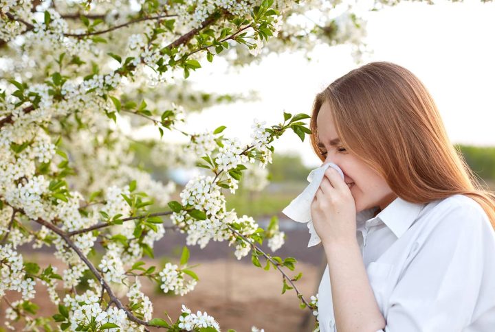 Prejavy alergie sa dajú zmierniť aj prírodnou cestou. Poradíme, ako na to bez liekov